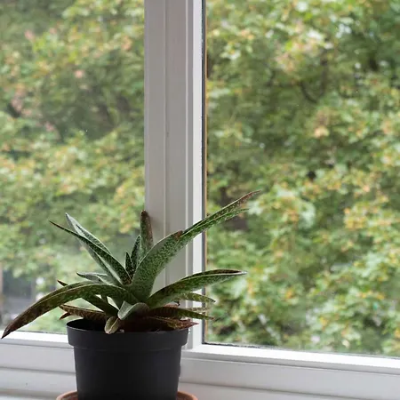 & Modern 2br Apt, 4min Subway To Apartment *