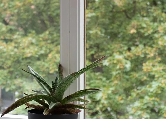 & Modern 2br Apt, 4min Subway To Διαμέρισμα *